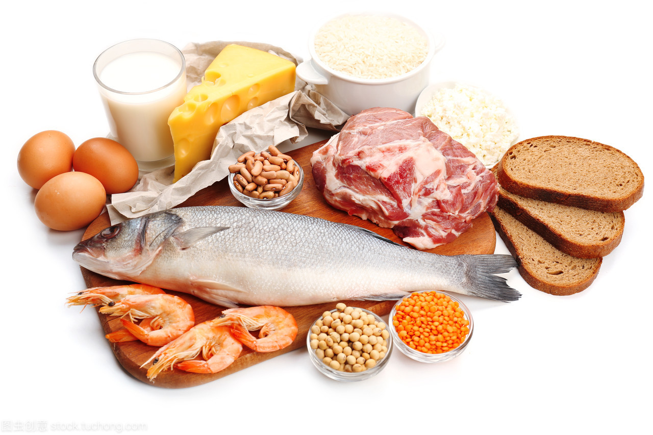 高蛋白質的食物與日用品 全面指南